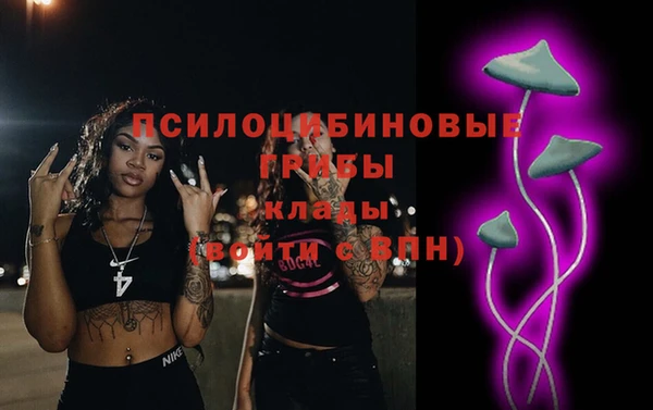 гидропоника Касимов