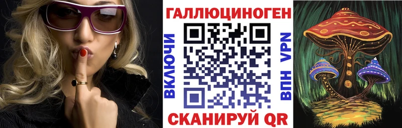 Купить  Чебаркуль  Псилоцибиновые грибы MAGIC MUSHROOMS 